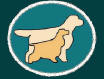 Kennel Della Fiumana